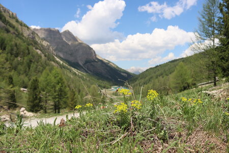 Lac de L'Orceyrette, IMG_2176