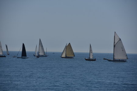 LES VOILES D ANTIBES MAI 2026, DSC_0103