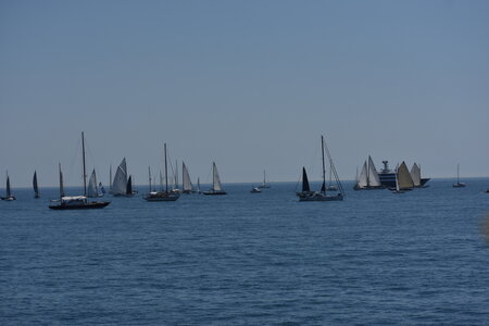 LES VOILES D ANTIBES MAI 2026, DSC_0108