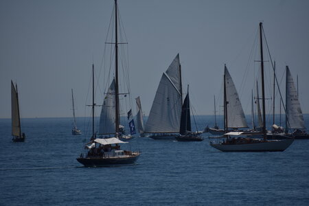 LES VOILES D ANTIBES MAI 2026, DSC_0109