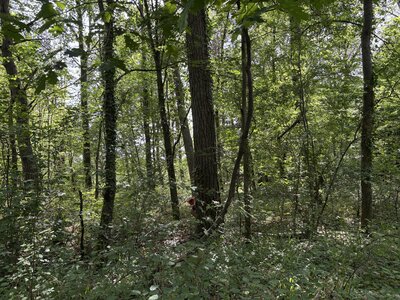 Animaux-2026-05, IMG_6924