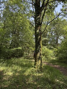 Animaux-2026-05, IMG_6922