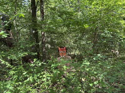 Animaux-2026-05, IMG_6919