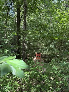 Animaux-2026-05, IMG_6918