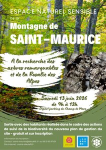 Affiches activités, sam 13 Juin St Maurice