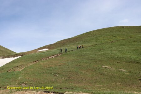 Lac de Néal, IMG_2208
