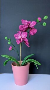 Framaforms, Orchide e