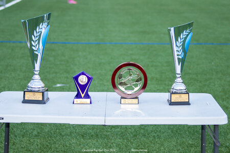 Football à 7 finale le 8 juin 2026, Foot &agrave; 7 finale 8juin26  250 sur 262 