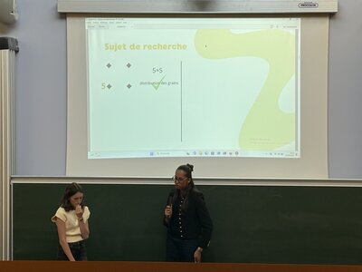 Stage Faire des mathématiques autrement, juin 2026, exposes-2-21
