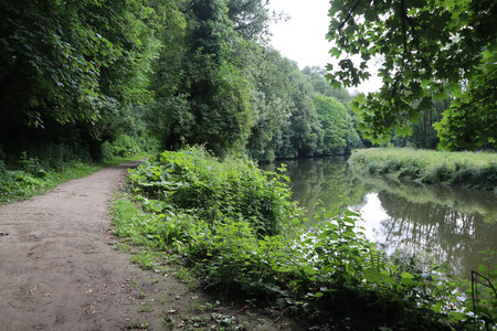 2026_06_15_Dinan, 2026_06_15_0009_Les bords de Rance