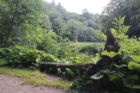 2026_06_15_Dinan, 2026_06_15_0010_Les bords de Rance