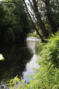 2026_06_15_Dinan, 2026_06_15_0012_Les bords de Rance