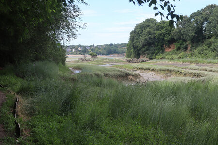 2026_06_16 Dinan - Le Minihic-sur-Rance, 2026_06_16_0170_L’embouchure du ruisseau de la Houssaye