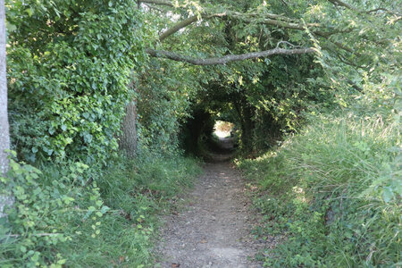 2026_06_17_Le Minihic-sur-Rance - Dinard, 2026_06_17_0178_Le sentier vers la grève des Marais