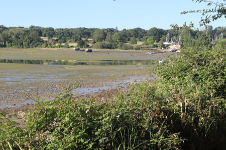 2026_06_17_Le Minihic-sur-Rance - Dinard, 2026_06_17_0180_la grève des Marais