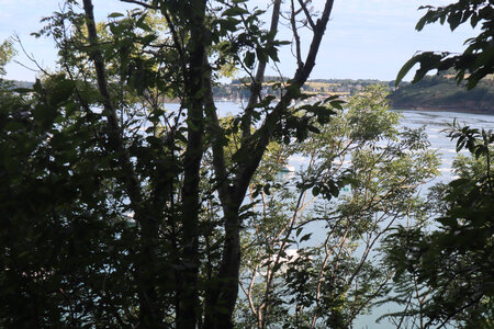 2026_06_17_Le Minihic-sur-Rance - Dinard, 2026_06_17_0191_La pointe du Ton