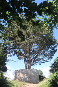 2026_06_17_Le Minihic-sur-Rance - Dinard, 2026_06_17_0201_Les Hures
