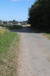 2026_06_17_Le Minihic-sur-Rance - Dinard, 2026_06_17_0207_Le seul passage ombragé de la liaison GR37 – GR 34