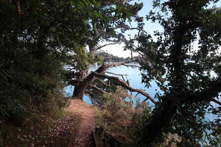 2026_06_17_Le Minihic-sur-Rance - Dinard, 2026_06_17_0209_z