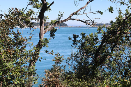 2026_06_17_Le Minihic-sur-Rance - Dinard, 2026_06_17_0215_Vue depuis la pointe de Cancaval