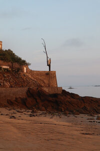 2026_06_18 Dinard - Saint-Jacut-de-la-Mer, 2026_06_18_0262_L’Arbre à la Pierre de la villa Greystones