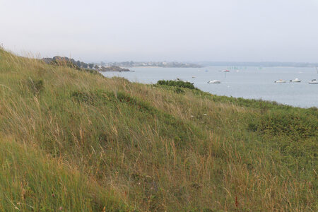 2026_06_18 Dinard - Saint-Jacut-de-la-Mer, 2026_06_18_0289_L’estuaire du Frémur