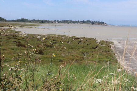 2026_06_18 Dinard - Saint-Jacut-de-la-Mer, 2026_06_18_0310_Le fond de la baie de Lancieux