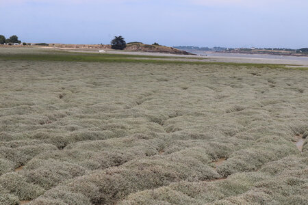 2026_06_18 Dinard - Saint-Jacut-de-la-Mer, 2026_06_18_0312_La baie de Lancieux depuis la Ville Neuve