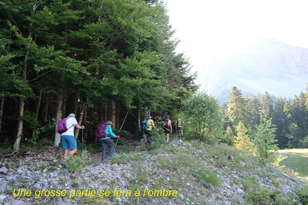 Col des Aiguilles, IMG_2333