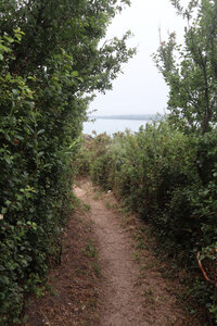 2026_06_19 Saint-Jacut-de-la-Mer - Saint-Cast-le-Guildo, 2026_06_19_0337_Le sentier labyrinthique entre la pointe du Chevet et la pointe du Bechet