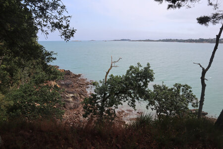 2026_06_19 Saint-Jacut-de-la-Mer - Saint-Cast-le-Guildo, 2026_06_19_0386_Entre le port et Quatre Vaux
