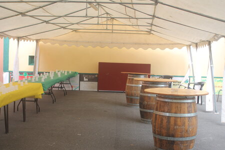 50eme anniversaire du tournoi des platanes, IMG_4264