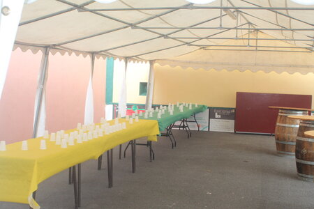 50eme anniversaire du tournoi des platanes, IMG_4263