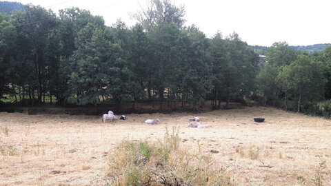 Moulins de Blanlhac et d'aval, Le Grand Pr&eacute;