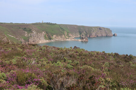 2026_06_21_ Trécelin - cap Fréhel - Sables d'Or les Pins, 2026_06_21_0467_La lande et le cap Fréhel