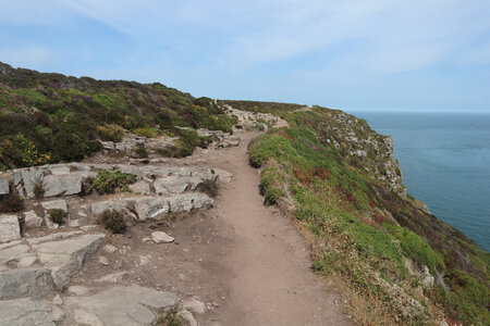 2026_06_21_ Trécelin - cap Fréhel - Sables d'Or les Pins, 2026_06_21_0472_Le sentier vers le cap Fréhel à la pointe de Château Renard