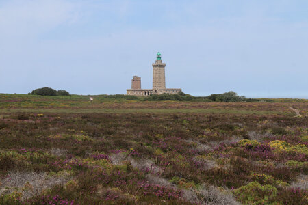 2026_06_21_ Trécelin - cap Fréhel - Sables d'Or les Pins, 2026_06_21_0474_La lande et le phare du cap Fréhel