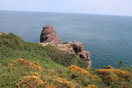 2026_06_21_ Trécelin - cap Fréhel - Sables d'Or les Pins, 2026_06_21_0476_La Fauconnière