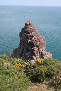 2026_06_21_ Trécelin - cap Fréhel - Sables d'Or les Pins, 2026_06_21_0477_La Fauconnière