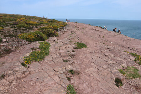 2026_06_21_ Trécelin - cap Fréhel - Sables d'Or les Pins, 2026_06_21_0479_Le cap Fréhel