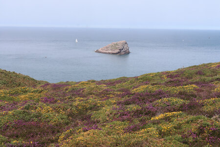 2026_06_21_ Trécelin - cap Fréhel - Sables d'Or les Pins, 2026_06_21_0487_L’Amas du Cap