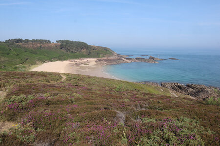 2026_06_22_Sables d'Or les Pins - cap d'Erquy - Pléneuf-Val-André, 2026_06_22_0512_z