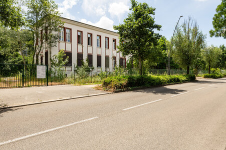 OPP, OPP_130_2026