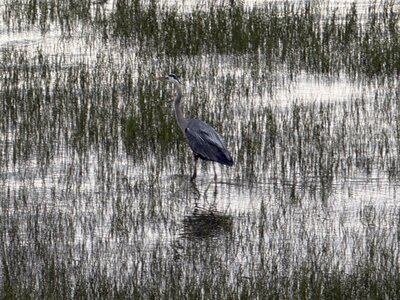 ALBUMFEUF, IMG_4867