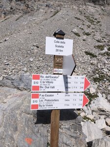 Monte Scaletta, Monte Scaletta roburent 2026-07-16  11 