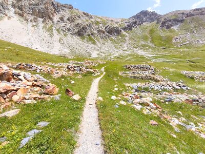 Monte Scaletta, Monte Scaletta roburent 2026-07-16  28 
