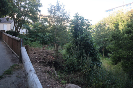 2026_06_24-25_Saint-Brieuc, 2026_06_25_0587_La vallée du Gouedic