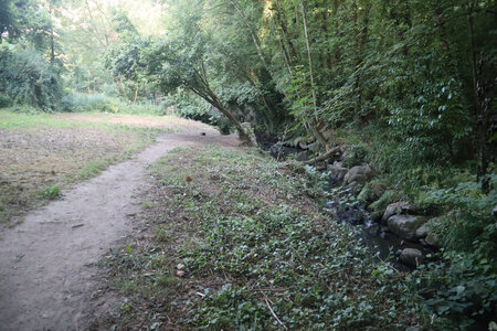2026_06_24-25_Saint-Brieuc, 2026_06_25_0588_La vallée du Gouédic