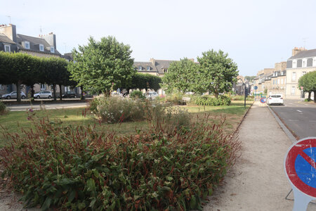 2026_06_24-25_Saint-Brieuc, 2026_06_25_0598_La place Saint-Michel