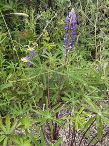 ALBUMFEUF, IMG_4909